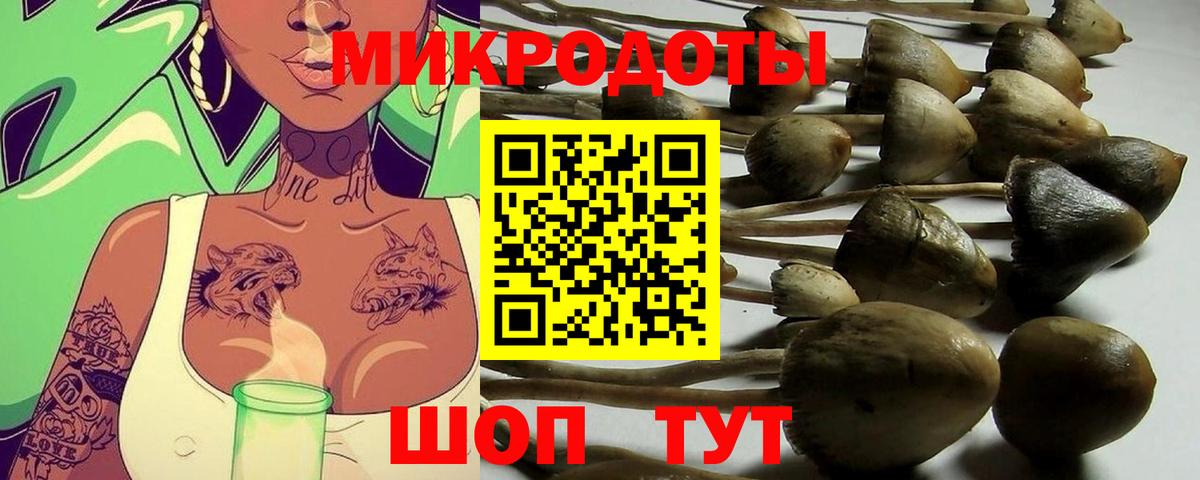 Топки  Галлюциногенные грибы MAGIC MUSHROOMS  Вход с VPN  наркота  Галлюциногенные грибы GOLDEN TEACHER 